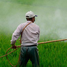 prl nivel básico en el sector agrario